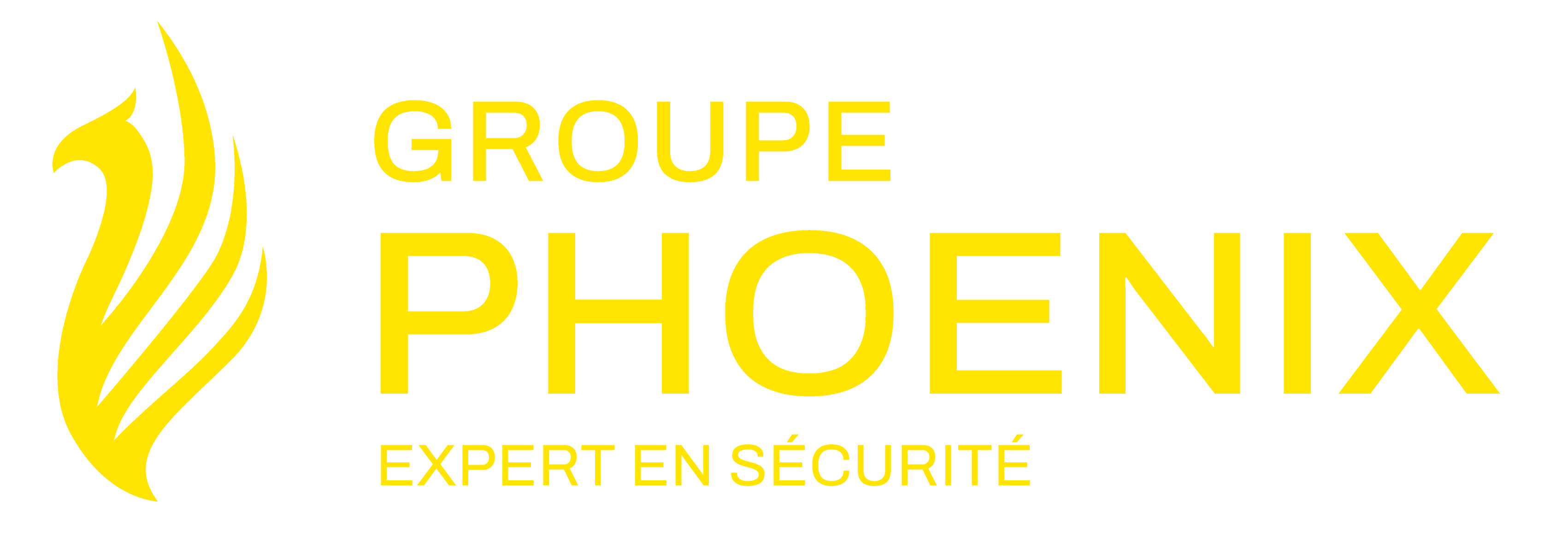Phoenix S&eacute;curity  S&agrave;rl
